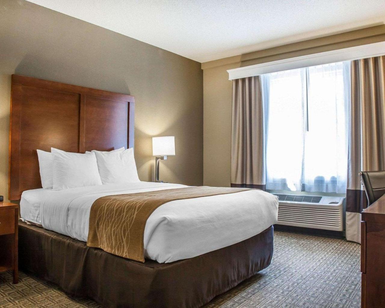 Comfort Inn & Suites Sturbridge-Brimfield מראה חיצוני תמונה