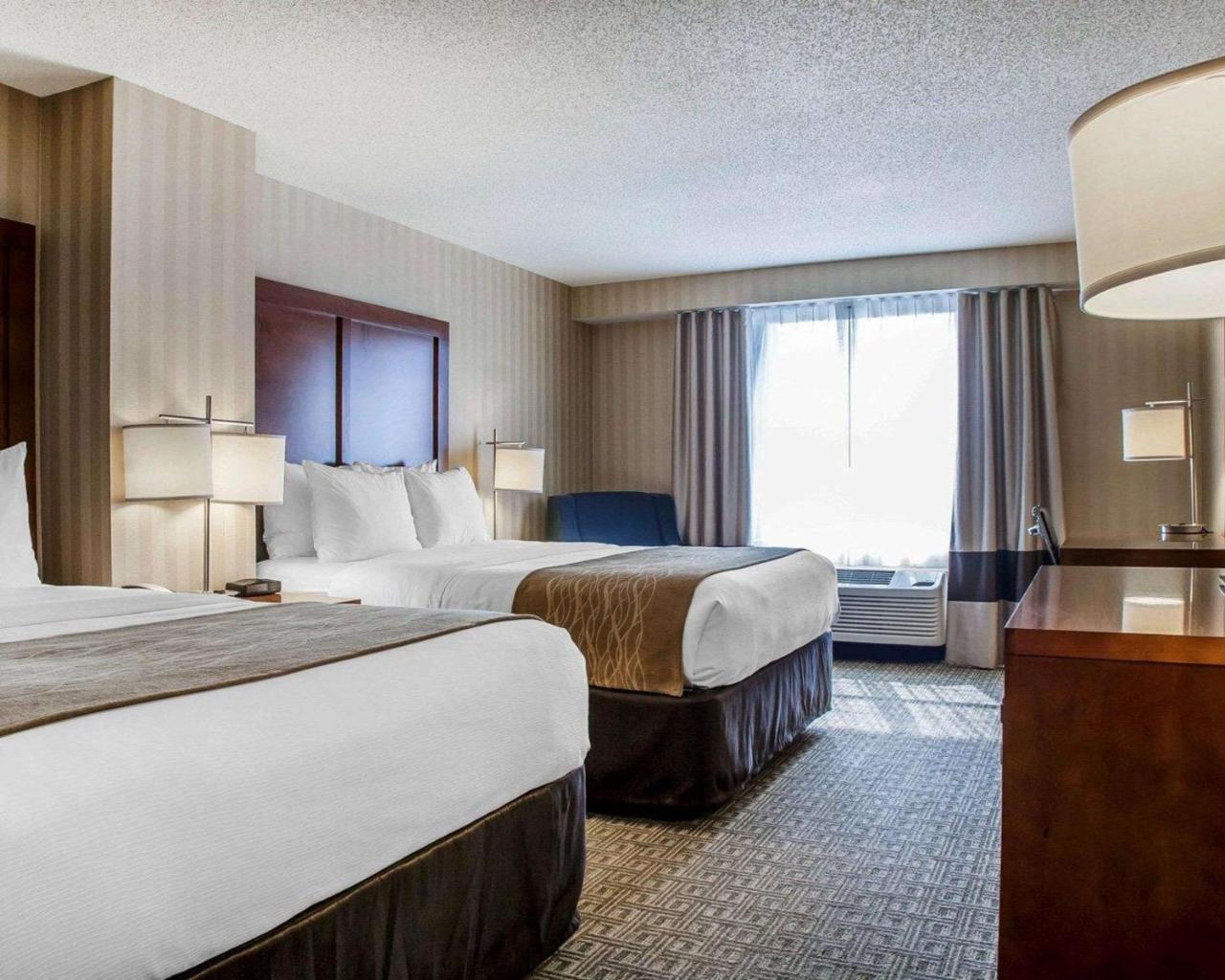 Comfort Inn & Suites Sturbridge-Brimfield מראה חיצוני תמונה