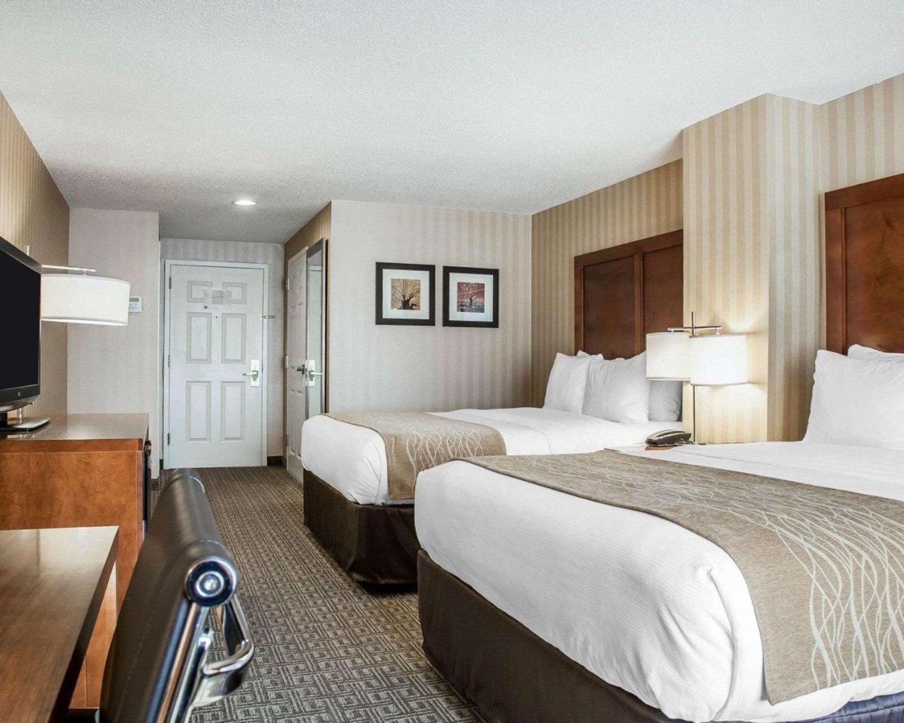 Comfort Inn & Suites Sturbridge-Brimfield מראה חיצוני תמונה